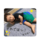 我が家の柑汰くん（個別スタンプ：15）