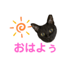 ちっちの日常(夏)（個別スタンプ：1）