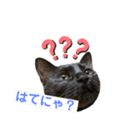 ちっちの日常(夏)（個別スタンプ：9）