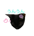 ちっちの日常(夏)（個別スタンプ：10）