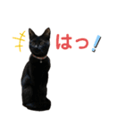 ちっちの日常(夏)（個別スタンプ：13）