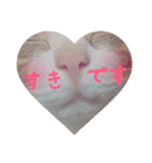 ひめにゃんず（個別スタンプ：2）