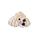 大事にされるワンちゃん（個別スタンプ：1）