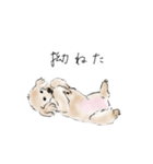 大事にされるワンちゃん（個別スタンプ：3）