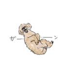 大事にされるワンちゃん（個別スタンプ：6）