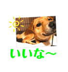 まめちゃん！！（個別スタンプ：2）