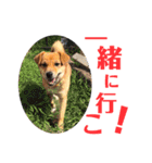 まめちゃん！！（個別スタンプ：4）