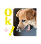 まめちゃん！！（個別スタンプ：13）