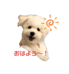 ちゃーちるのちるちるスタンプ（個別スタンプ：10）