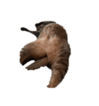 おれのねこだけど文句ある？（個別スタンプ：3）