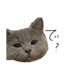 ねこのねこのねこ（個別スタンプ：4）