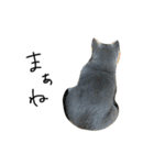ねこのねこのねこ（個別スタンプ：21）