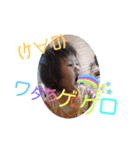 YUA社長のCuteな日常(1歳)（個別スタンプ：30）