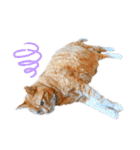 キュートでハッピーな猫ちゃんたち（個別スタンプ：2）