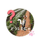 きぃちゃんスタンプ2歳5カ月イヤイヤ期ダヨ（個別スタンプ：2）