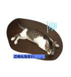 monta♡4ヶ月（個別スタンプ：3）