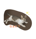 monta♡4ヶ月（個別スタンプ：4）