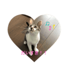 monta♡4ヶ月（個別スタンプ：6）