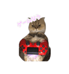 LILINANA（個別スタンプ：6）