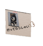 黒柴のくまです（個別スタンプ：14）