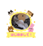 くっちゃねシティの夏（個別スタンプ：2）