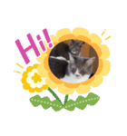 くっちゃねシティの夏（個別スタンプ：14）