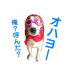 レオパン1（個別スタンプ：1）