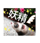 イタチのアドさん（個別スタンプ：1）