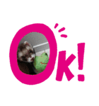 イタチのアドさん（個別スタンプ：4）