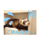 イタチのアドさん（個別スタンプ：7）