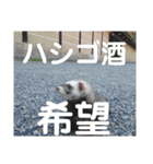 イタチのアドさん（個別スタンプ：15）