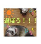 イタチのアドさん2（個別スタンプ：2）
