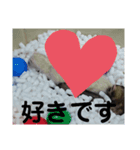 イタチのアドさん2（個別スタンプ：5）