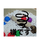 イタチのアドさん2（個別スタンプ：6）
