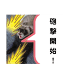 イタチのアドさん2（個別スタンプ：7）