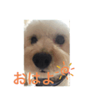 とろんくん（個別スタンプ：1）