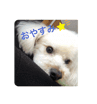 とろんくん（個別スタンプ：2）