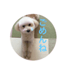 とろんくん（個別スタンプ：4）