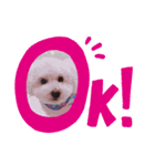 とろんくん（個別スタンプ：10）