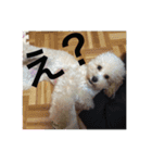 とろんくん（個別スタンプ：13）