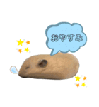 きんくまふくちゃん（個別スタンプ：4）