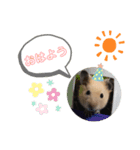 きんくまふくちゃん（個別スタンプ：7）