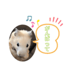 きんくまふくちゃん（個別スタンプ：8）
