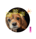 おうぴちゃん（個別スタンプ：1）