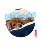 おうぴちゃん（個別スタンプ：2）