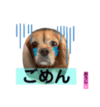 おうぴちゃん（個別スタンプ：3）