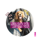 おうぴちゃん（個別スタンプ：12）