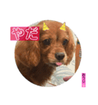 おうぴちゃん（個別スタンプ：13）
