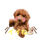 ★モコのスタンプ★（個別スタンプ：4）