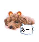 ★モコのスタンプ★（個別スタンプ：8）
